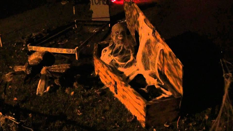 Coffin Popup in our yard