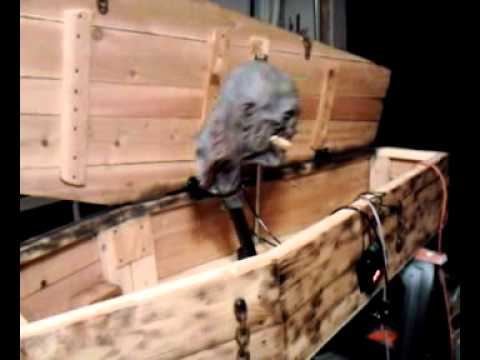 Coffin Popup Early Stages