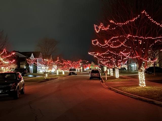 Georgian Place parkway trees lit with red and white Christmas lights in 2024, Huntley, Illinois